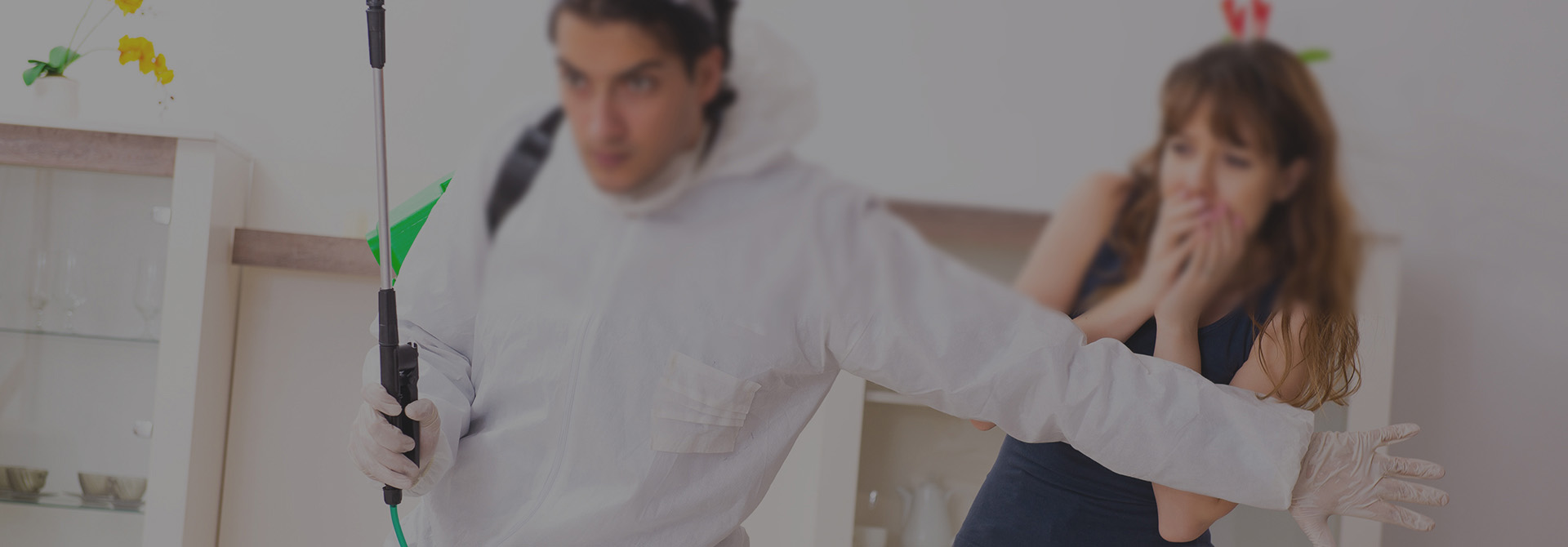 捷捷威虫控，焕新生活